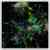 Terra Ultima - Image 1