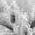 Electric Atmospheres - Image 14
