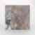 Stochastic Neighbors - Image 12